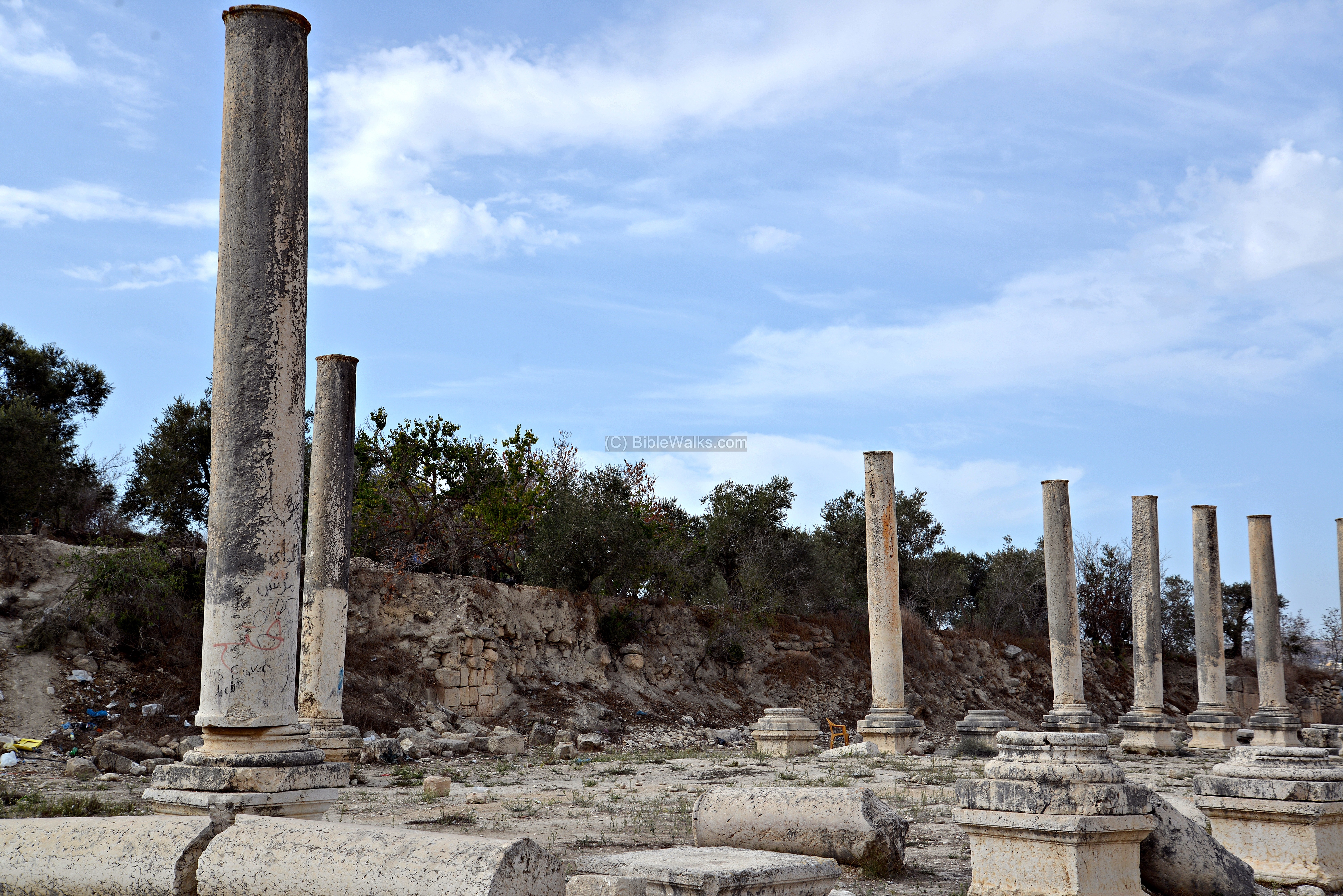 上图：罗马时代撒玛利亚柱廊街遗址，现存600根这样的石柱，联结撒玛利亚的西城门和东城门。