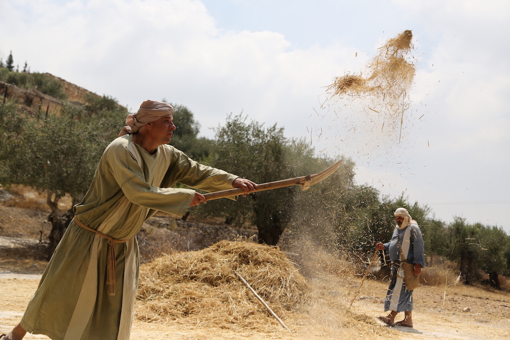 上图:以色列拿撒勒村演示古代以色列人扬场。农民打谷场上脱粒以后,用木叉把麦粒和脱离的糠秕一起扬在空中,风把比较轻的糠秕吹到远处,而比较重的麦粒则落在近处,这样可以把麦粒和糠秕分开。