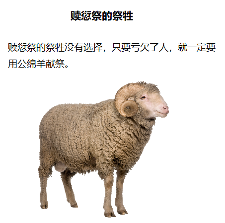 上图:赎愆祭的祭牲。只要是亏欠了人,不管多小的亏欠,除了赔偿另外五分之一,还必须献上一只公绵羊,没有其他选择。