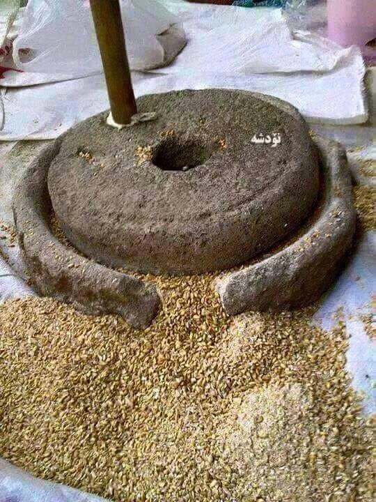 上图:古代以色列家用的磨石包括两块上下两块石头,通常用玄武岩制造。下磨石很重,谷粒放在上面平或微弯之处,以较轻的上磨石磨成面粉。一般人必须每天自己磨麦,如果拿磨石作为抵押品,他就不能做饭了。