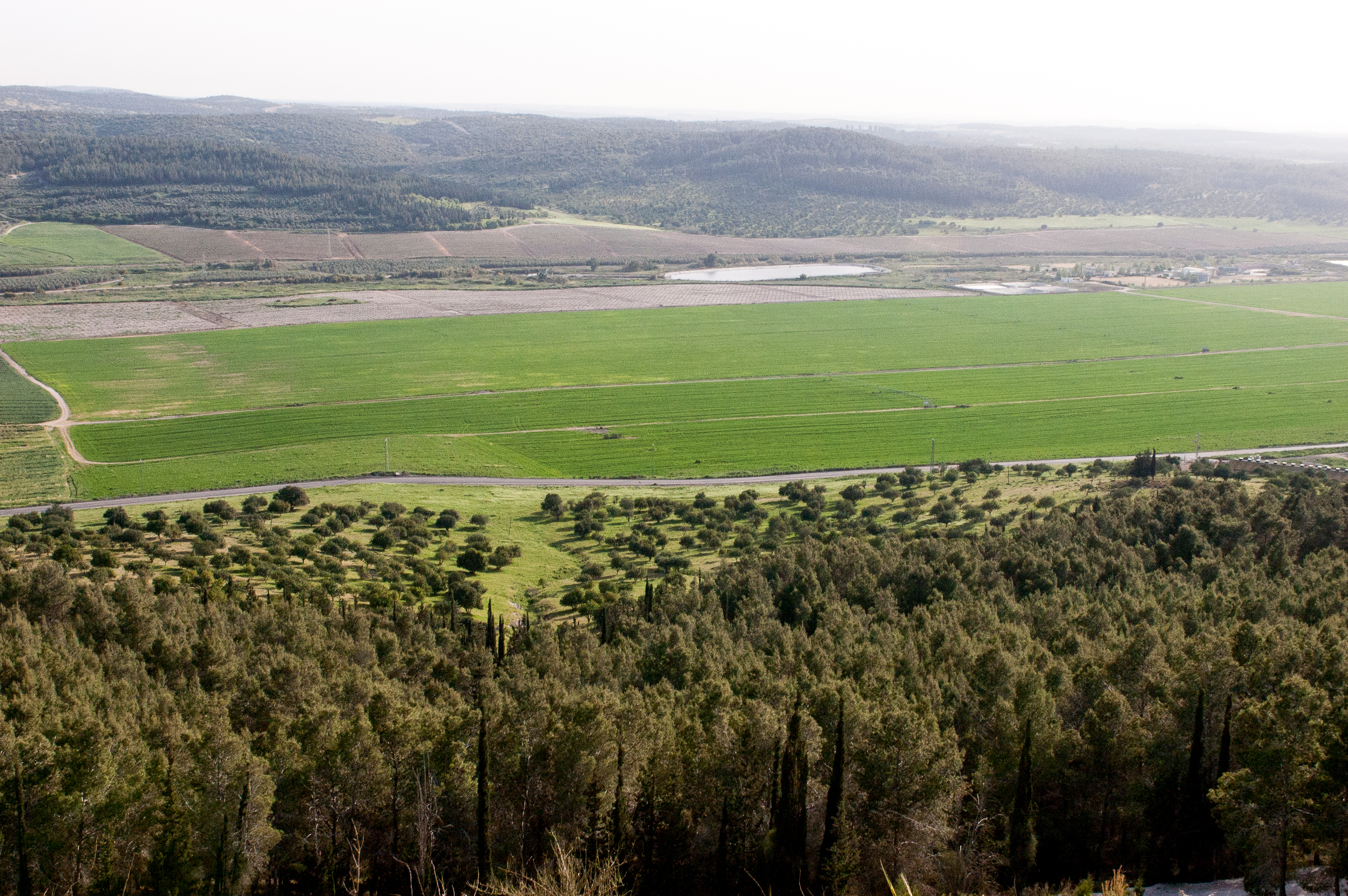 上图：从琐拉俯瞰梭烈谷。蜿蜒的梭烈谷是从沿海平原前往耶路撒冷的重要通道，谷中的梭烈溪是犹大山地最大、也是最重要的流域，从中央山地穿过示非拉丘陵流向地中海。这个地区很适合种葡萄，在士师时代是以色列人与非利士人的分界线。