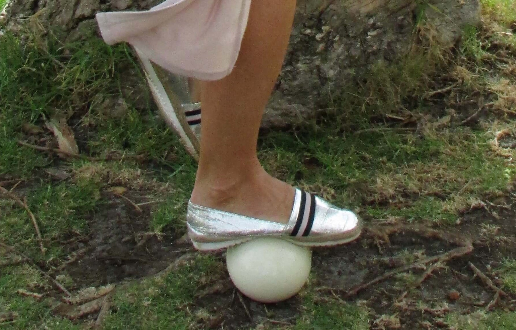 上图:鸵鸟蛋重约1.5公斤左右,非常坚固,人可以站立在其上。